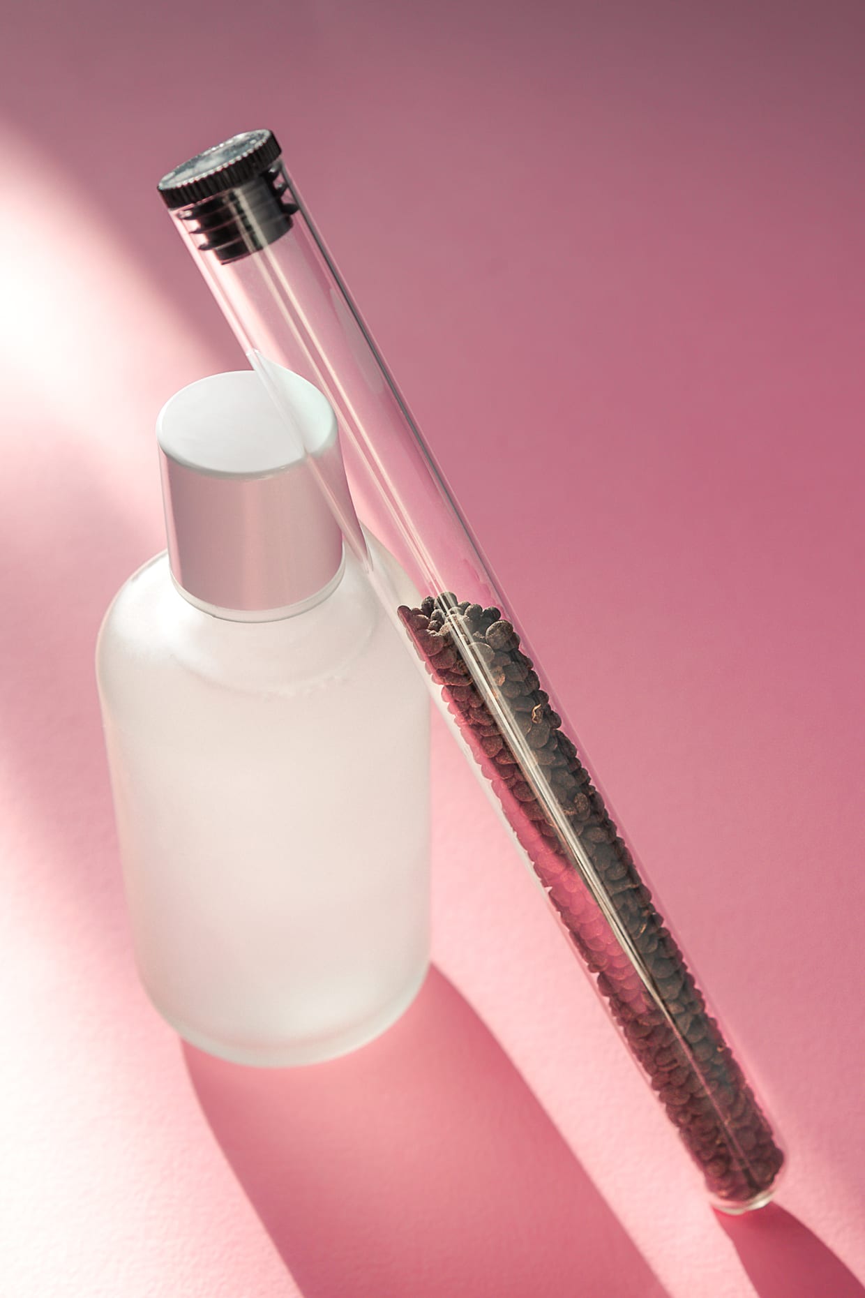 Babchi dry raw seeds (Psoralea Corylifolia) with bakuchiol skin care serum at pink background.